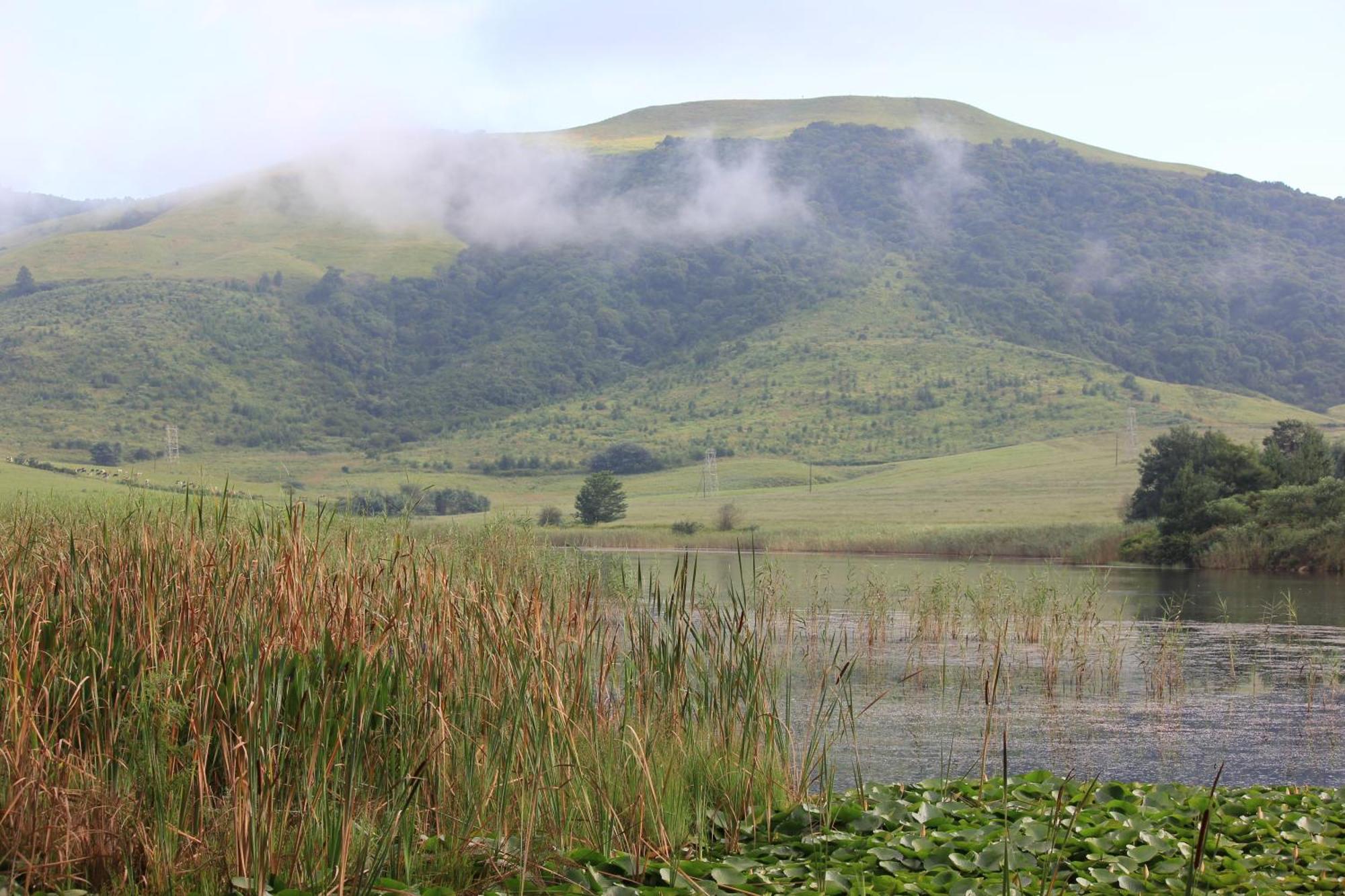 Beacon Vlei Guest Farm Ξενοδοχείο Balgowan Εξωτερικό φωτογραφία